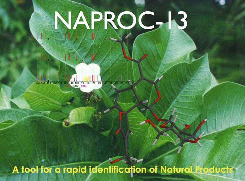 Naproc 13